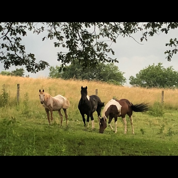 Meet your Posher, Jenny - Picture 16 of 17